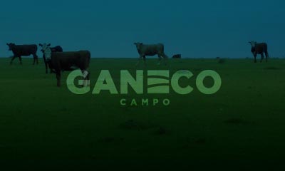 Conozca nuestro servicio de inversión ganadera
